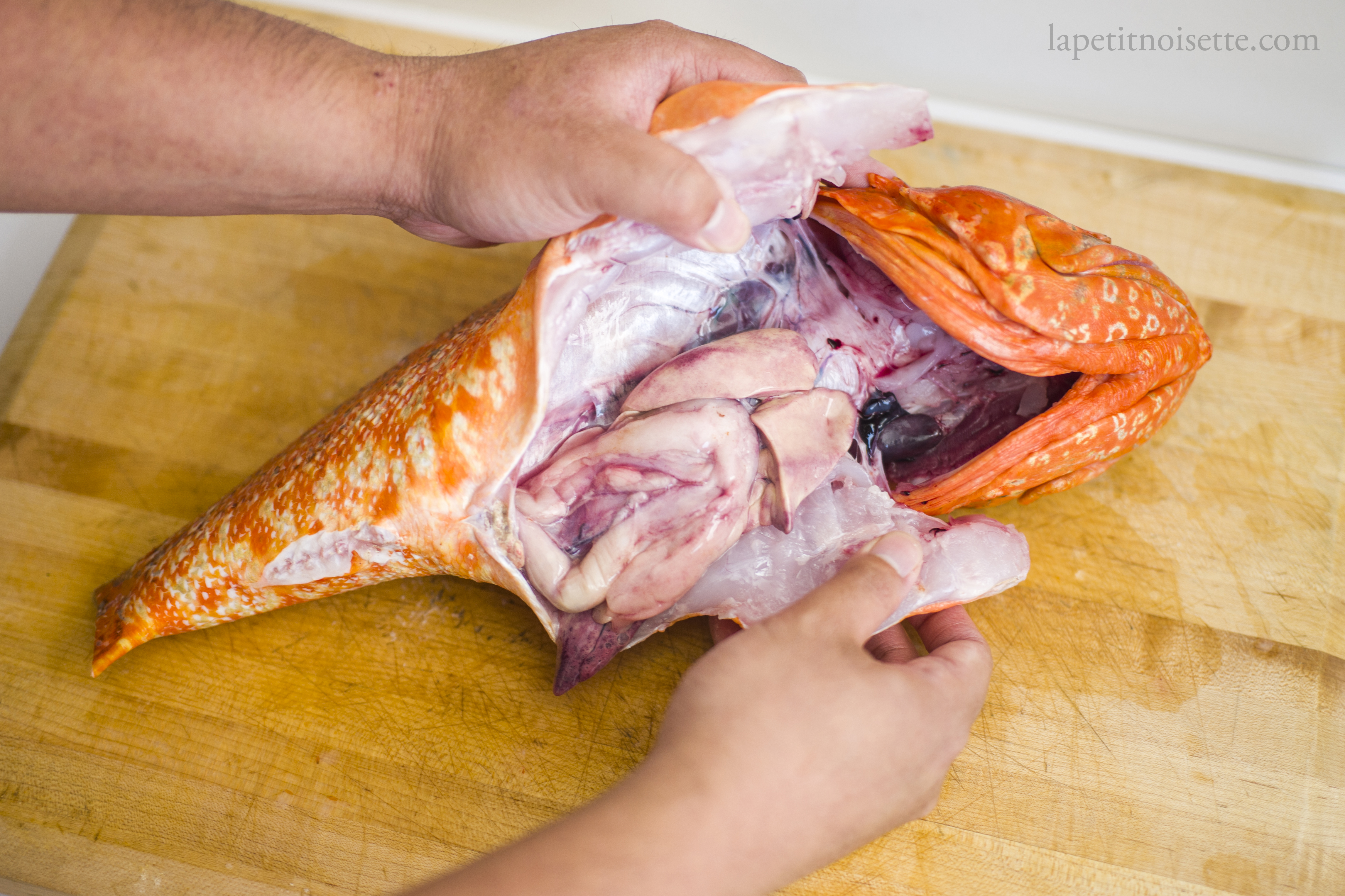 The innards of a Japanese scorpionfish with it's stomach, liver and intestines.