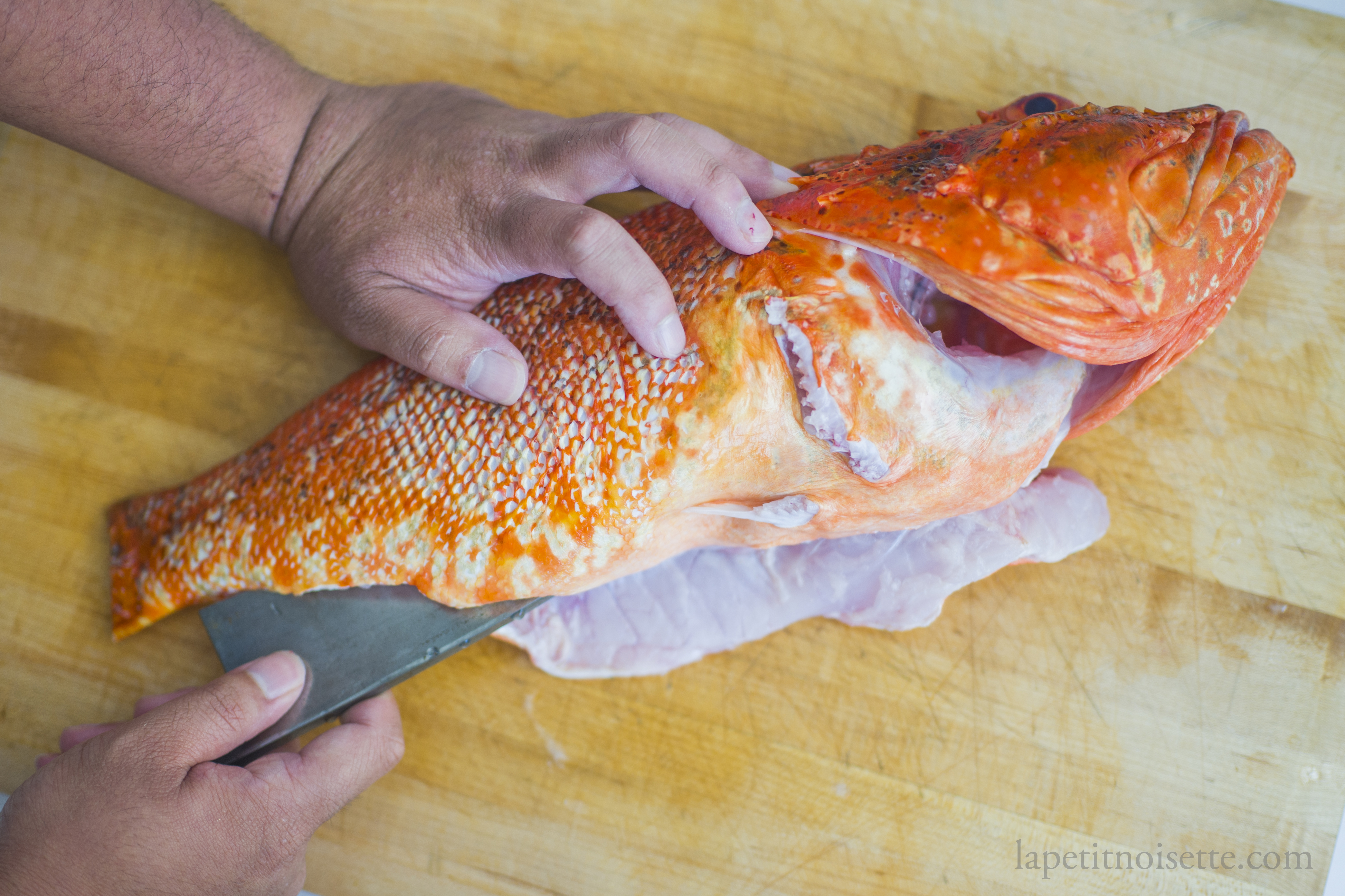 Steps in filleting a Japanese scorpionfish.