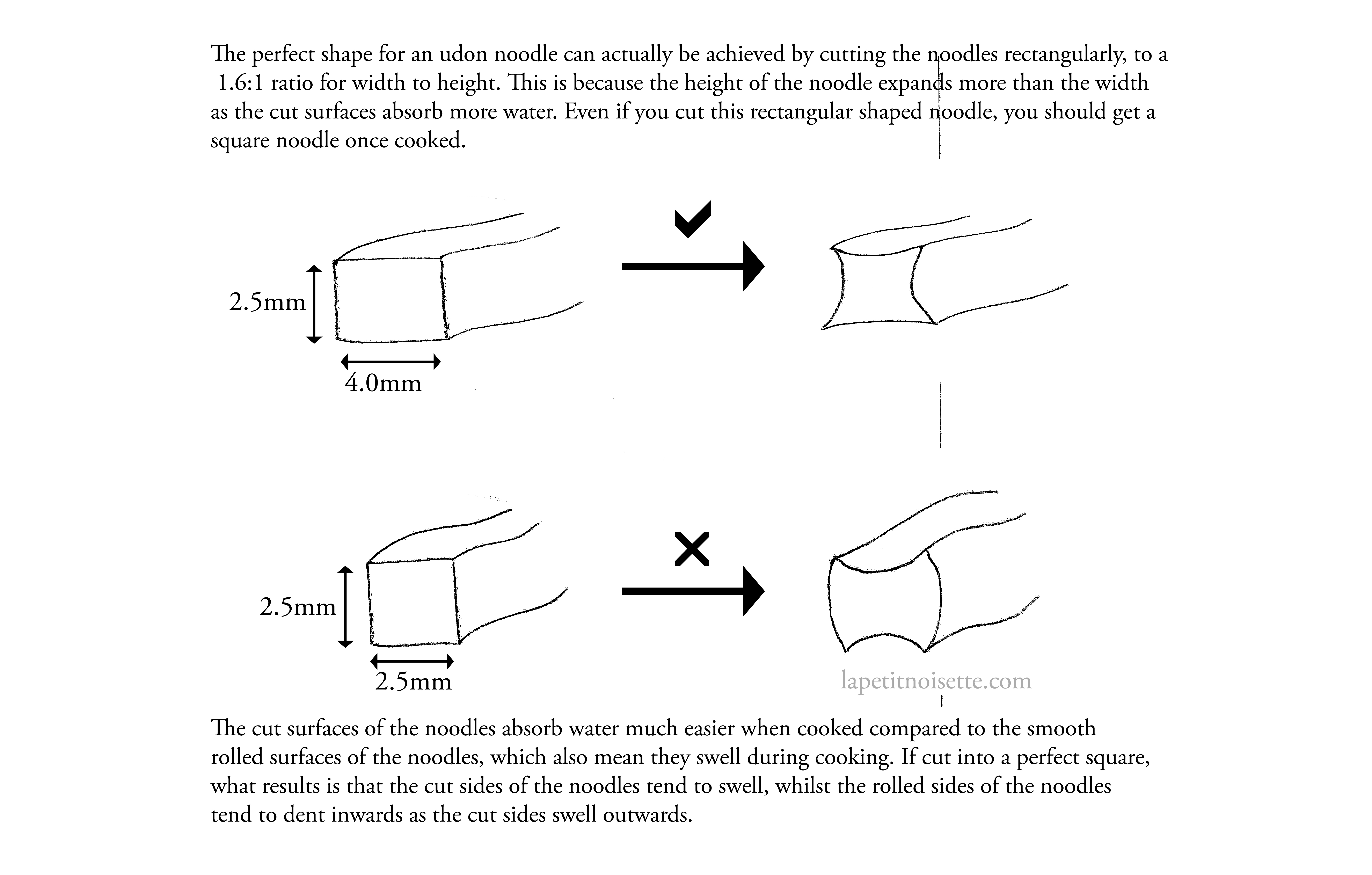 A diagram showing how cutting the udon noodles affects how it expands when its boiled.