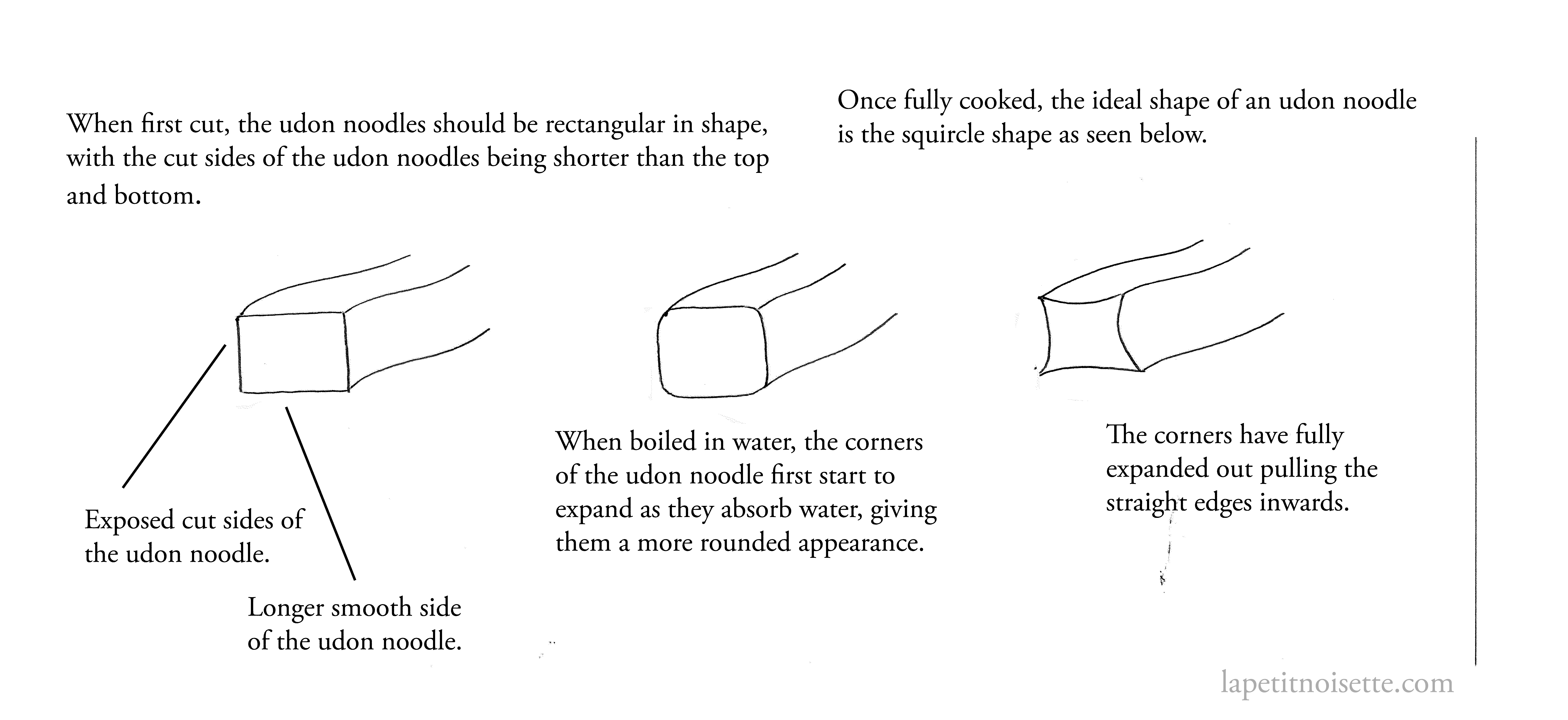 A drawing of a perfect udon noodles shape.