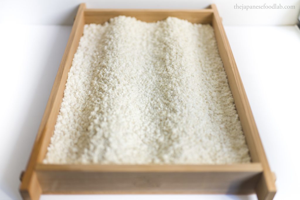 Freshly grown rice koji on a traditional Japanese wooden tray.