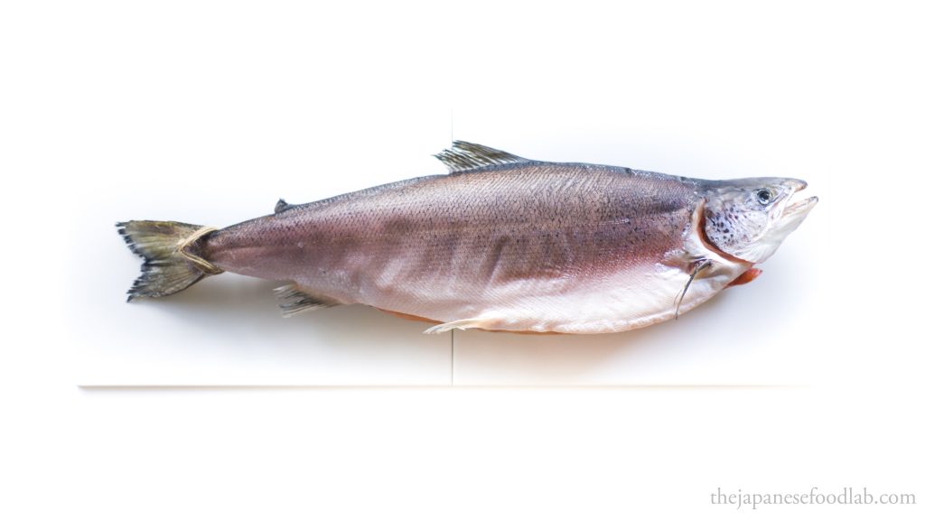 A whole dry aged salmon showing the change in skin texture. 