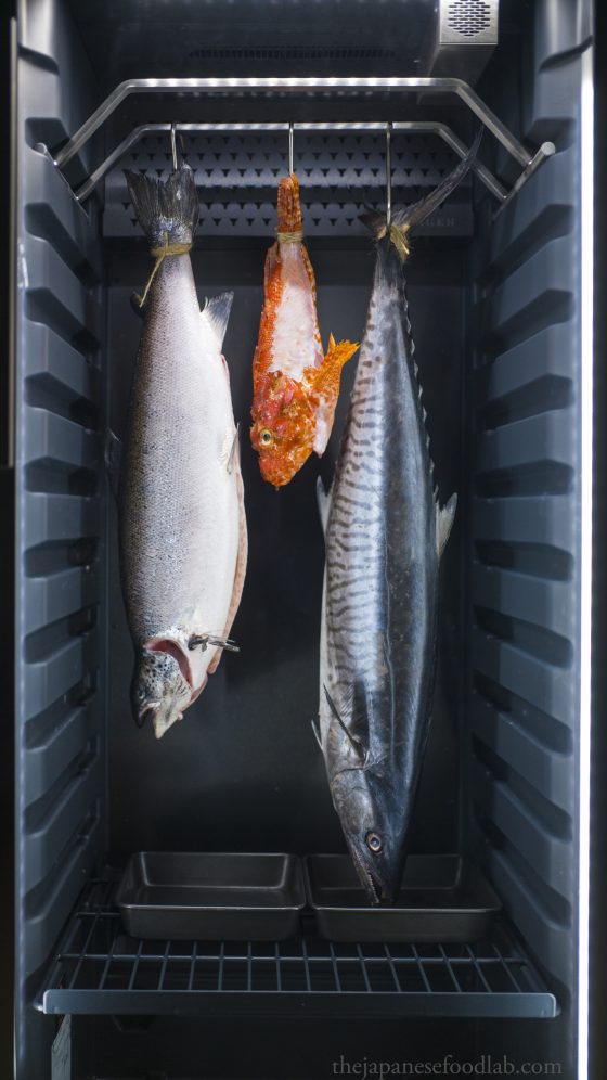 Different fish being dry aged in a specialized fridge.